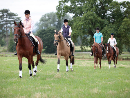 Luxury Riding & Spa Break Cheshire